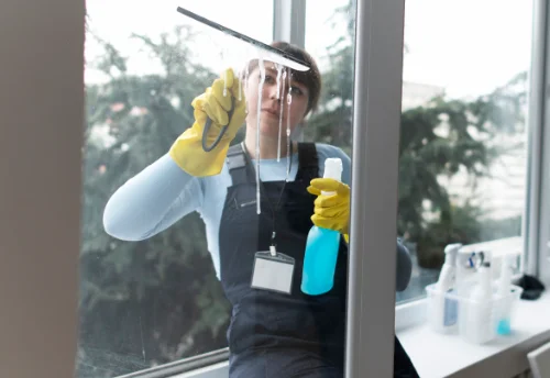 Nettoyage de vitres intérieures et extérieures à Leignes-sur-Fontaine